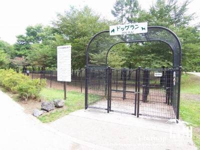 軽井沢　ドックラン　湯川ふるさと公園